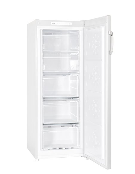 Congélateur Armoire no Frost