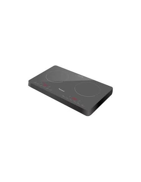 TABLE DE CUISSON A POSER 2 INDUCTIONS 3500W