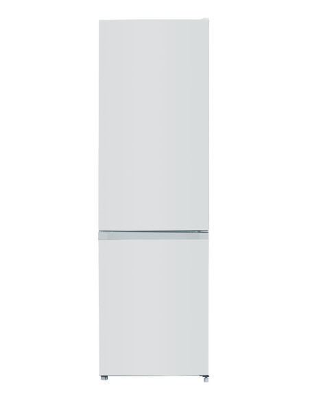 CCS300N